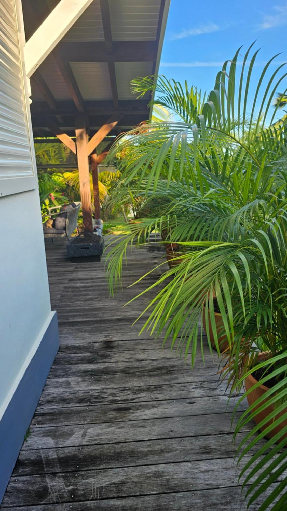 Habitation Villa Les Cassias プティ・ブール エクステリア 写真
