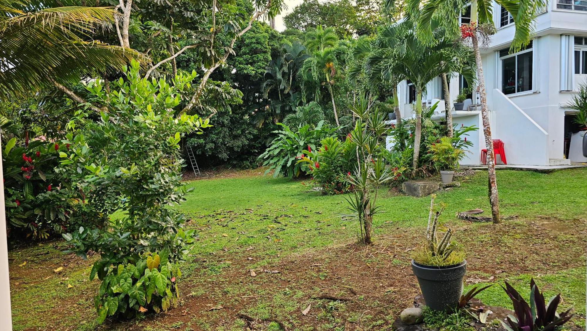 Habitation Villa Les Cassias プティ・ブール エクステリア 写真